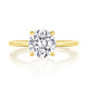 Round Solitaire Engagement Ring