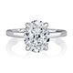 Oval Center Diamond Solitaire Engagement Ring with Hidden Halo and QuiltsÂ® Interior MECOV3030Q/208