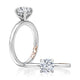 Classic Solitaire Round Center Diamond EngagEment Ring with Hidden Halo and Petite Quilts™ MECRD2877BL/209
