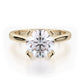 MICHAEL M Engagement Rings 18K Yellow Gold Love R514-1 R514-1YG