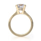 Michael M Hidden Halo Round Engagement Ring