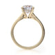 Michael M Hidden Halo Round Engagement Ring