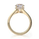 Michael M Hidden Halo Round Engagement Ring