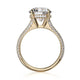Michael M Hidden Halo Round Engagement Ring