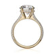 Michael M Hidden Halo Round Engagement Ring