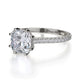 Michael M Hidden Halo Cushion Engagement Ring