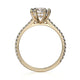 Michael M Hidden Halo Cushion Engagement Ring