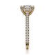 Michael M Hidden Halo Cushion Engagement Ring