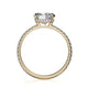 Michael M Hidden Halo Cushion Engagement Ring