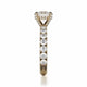 Michael M Hidden Halo Engagement Ring