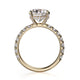 Michael M Hidden Halo Oval Engagement Ring
