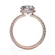 Michael M Hidden Halo Round Engagement Ring