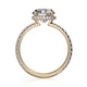Michael M Hidden Halo Round Engagement Ring
