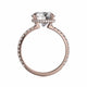 Michael M Hidden Halo Round Engagement Ring