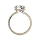 Michael M Hidden Halo Round Engagement Ring