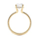 Michael M Hidden Halo Round Engagement Ring
