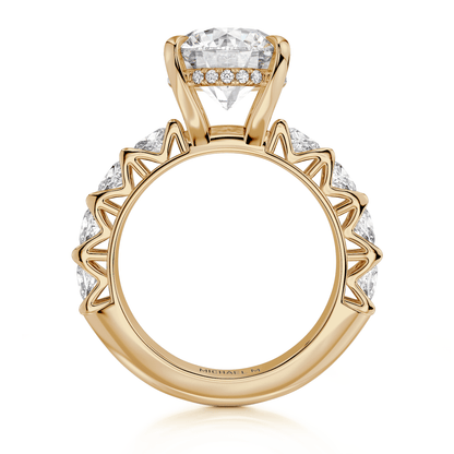 Meksian R905-3 Round