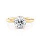Michael M Hidden Halo Round Engagement Ring