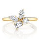 Montage Cluster Ring