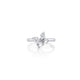 Montage Cluster Ring