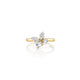 Montage Cluster Ring