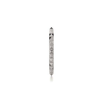 Silver Tetra Band