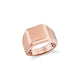 Mens Pinky Signet Ring
