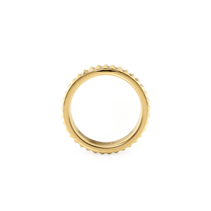 Men's Tetra Band