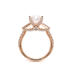 Verragio Princess Engagement Ring