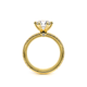 Verragio Pave Round Engagement Ring