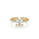 Verragio Halo Oval Engagement Ring