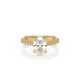 Verragio Halo Oval Engagement Ring